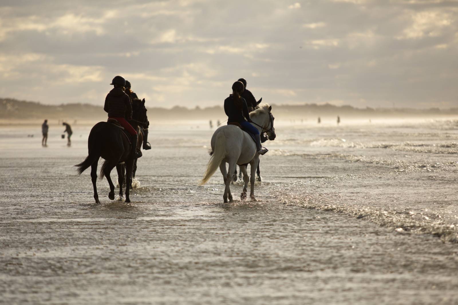 Balade à cheval sur la plage de Cabourg – Normandie Tourisme