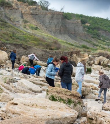 Visite guidée des falaises des Vaches Noires