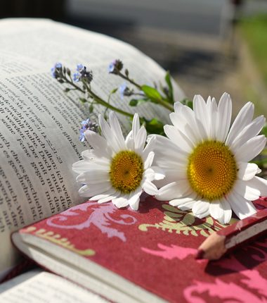 Bibliothèque Au Bord des Mots