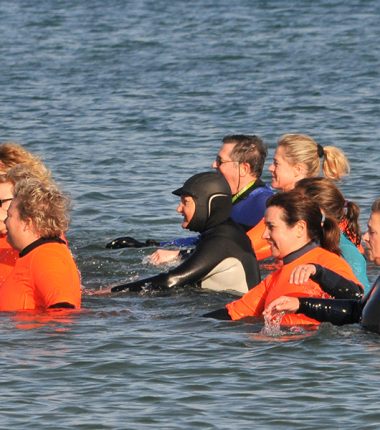 Terre Mer Sport Santé