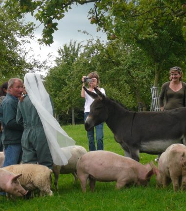 La ferme pédagogique du  Lieu Roussel