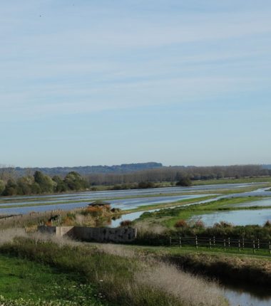 La réserve ornithologique de Saint-Samson