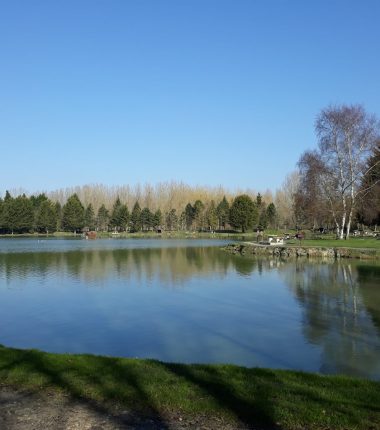 Etang du Colvert