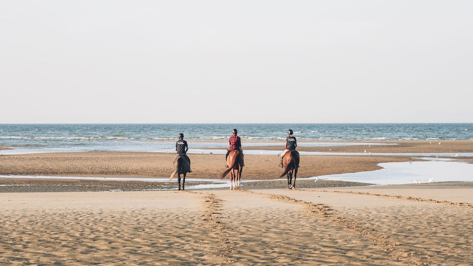 Plage de Merville-Franceville-Plage, du sable fin en Calvados - Normandie