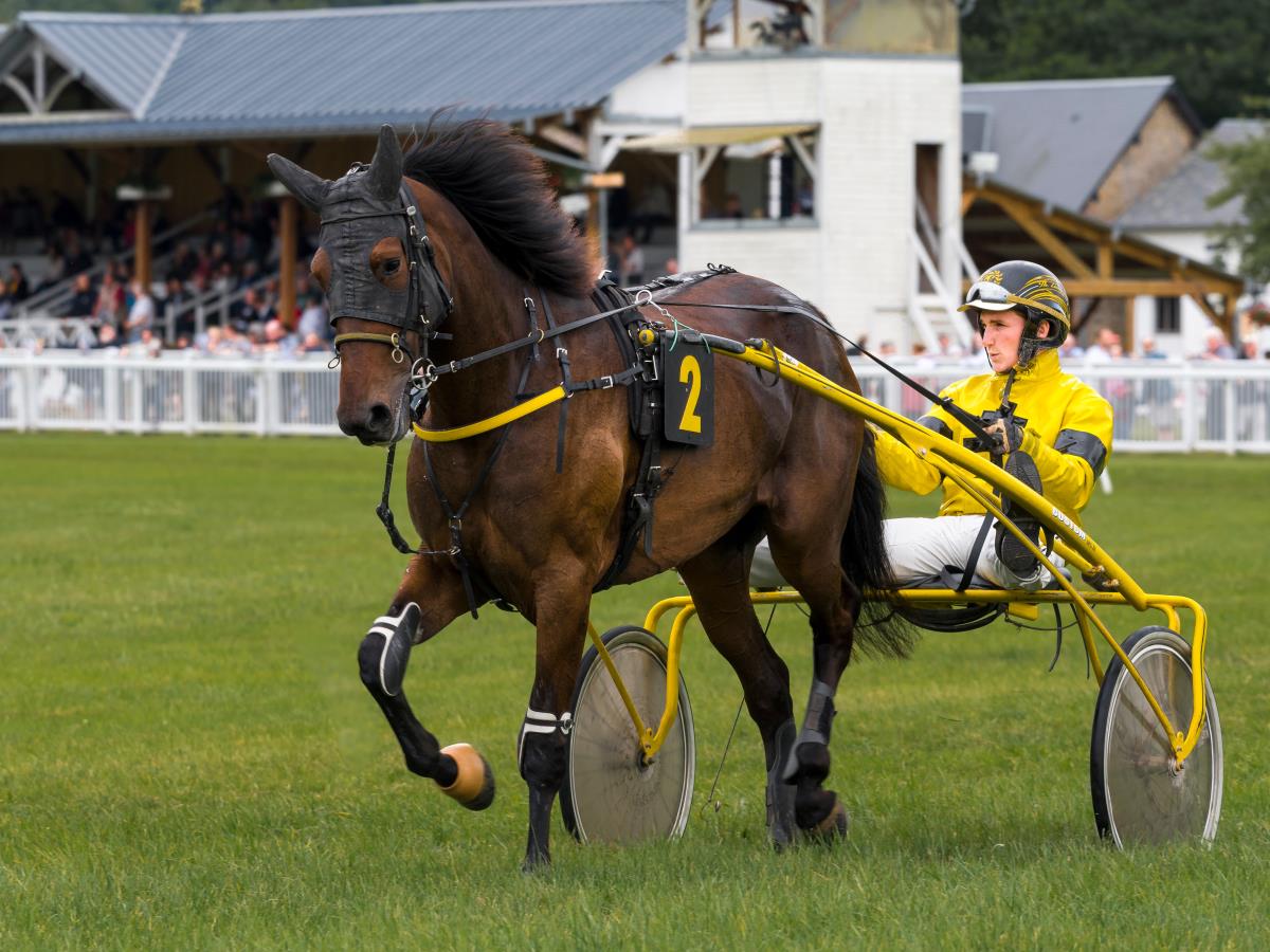 Hippodrome de Dozulé – Angerville