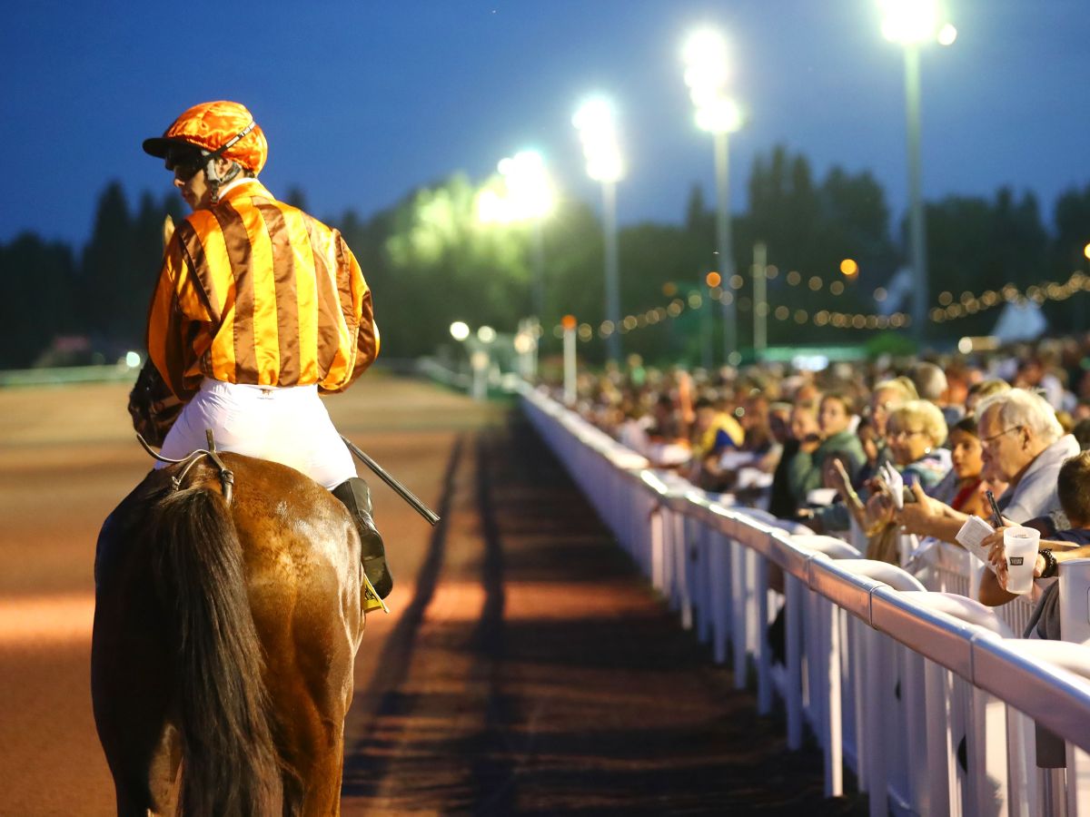 Les estivales de l’hippodrome