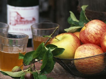 Fête du cidre et marché du terroir Le 20 oct 2024